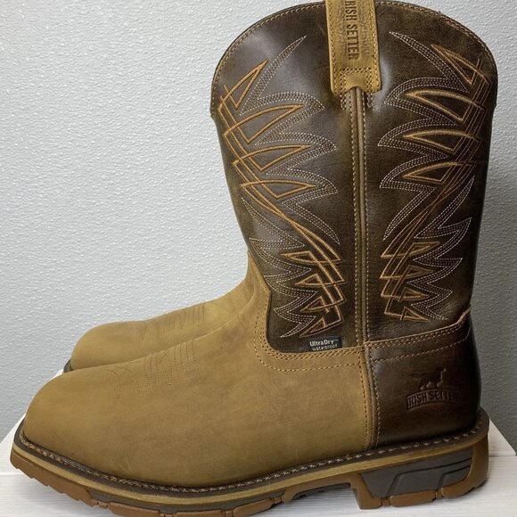 Irish Setter Marshall 11\